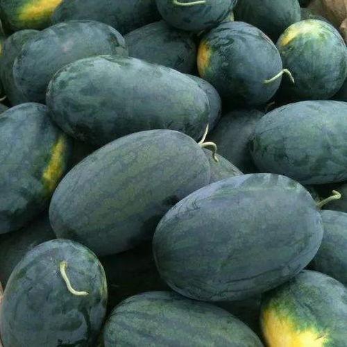 网红王扁吃瓜,揭秘网红圈背后的那些事儿